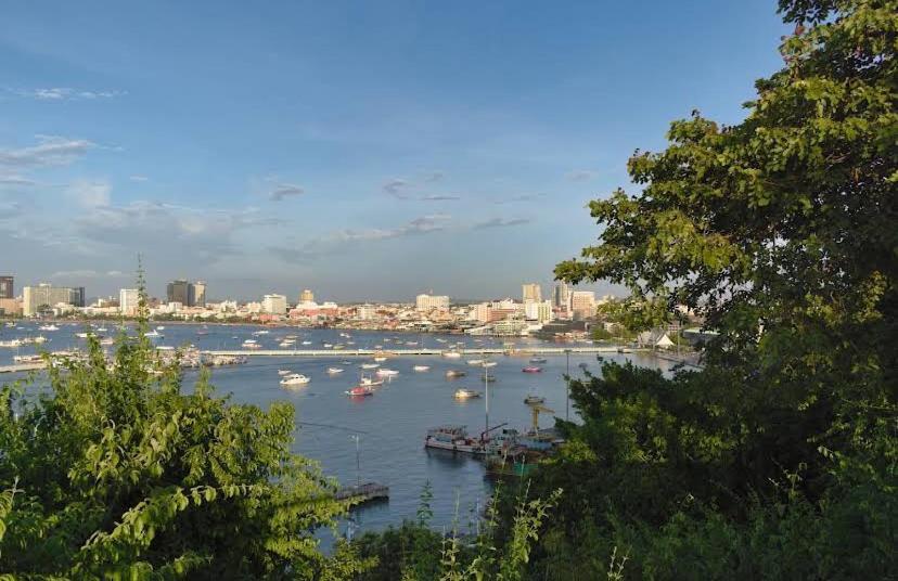 Apartment Hill And Super Seaview *